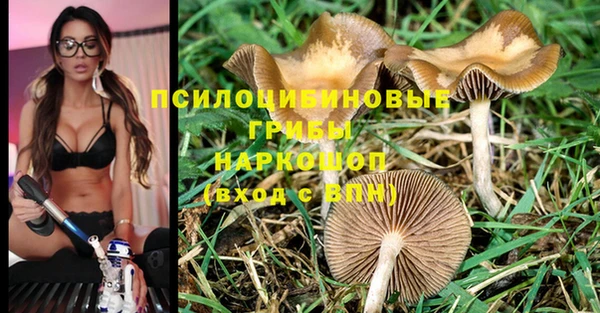 соль курить ск Богородск