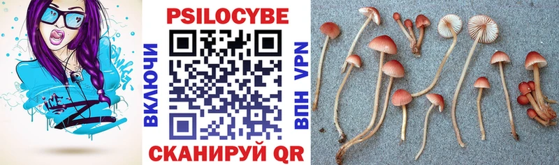 Псилоцибиновые грибы Psilocybine cubensis  Купить  Видное 